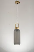 Светильник подвесной Narzole E 1.P2 CL Arti Lampadari серый 1 лампа, основание золотое в стиле современный 
